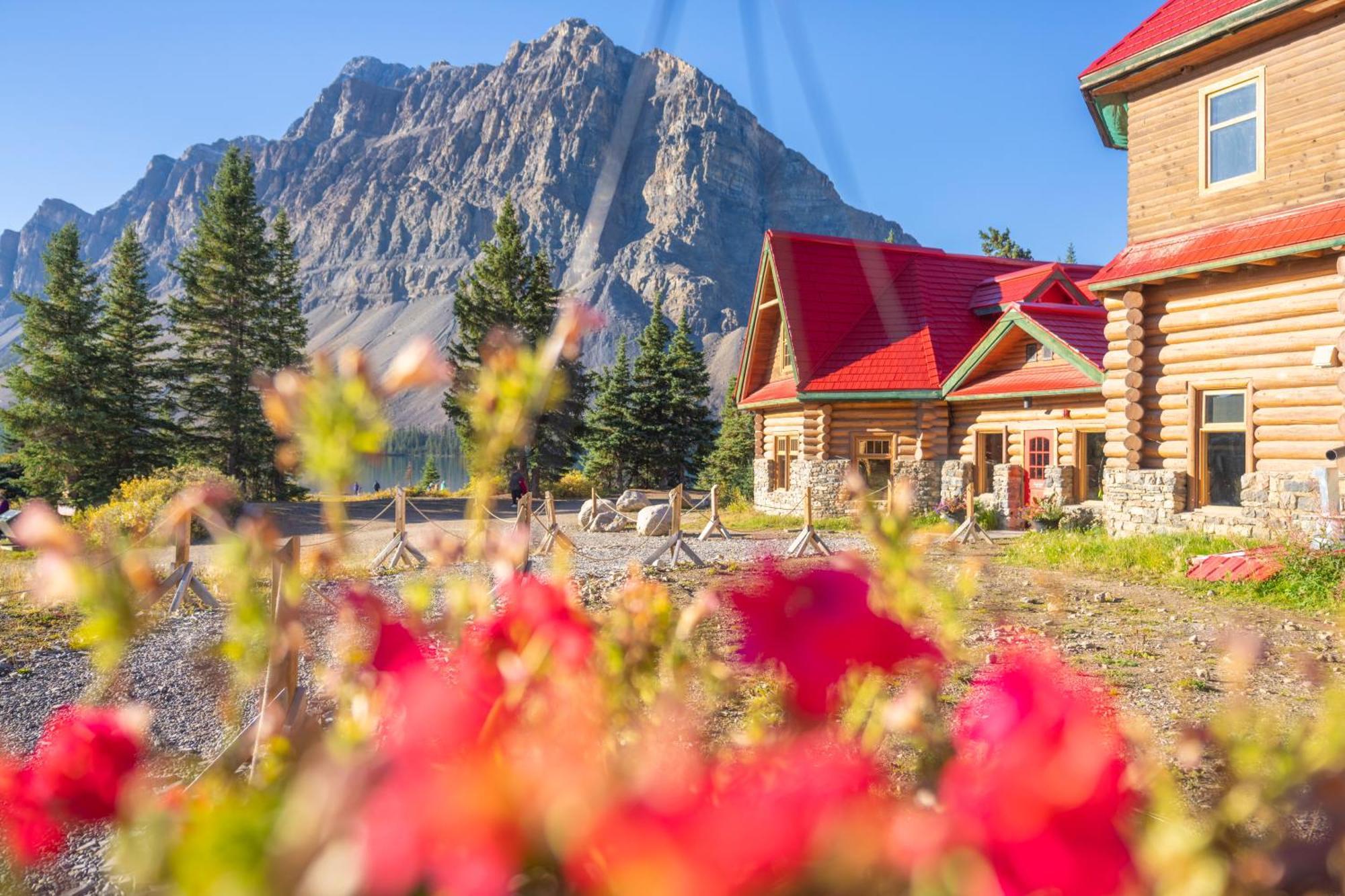 The Lodge At Bow Lake Lake Louise Extérieur photo